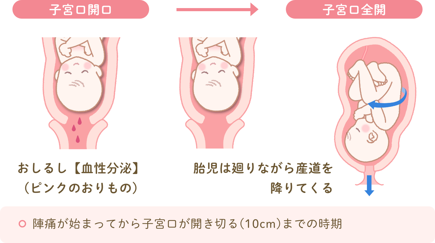 出産の流れ 産婦人科サイト