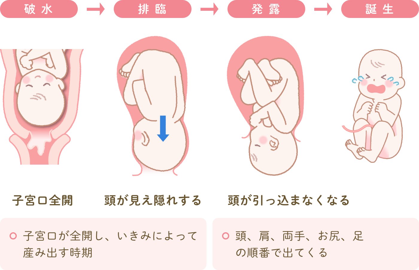 出産の流れ 産婦人科サイト 近畿中央病院